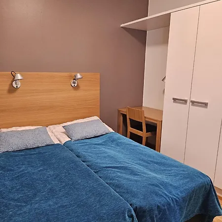 Ski-in 1313 公寓 鲁卡