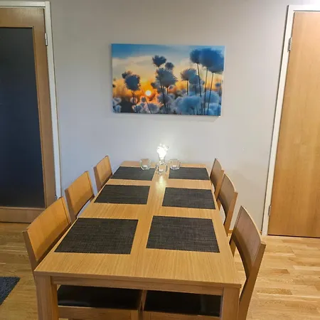 Ski-in 1313 公寓 鲁卡